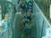 DSC04641